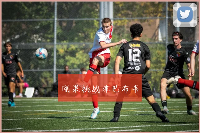 刚果挑战津巴布韦