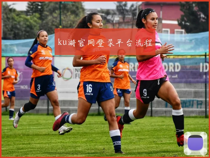 ku游官网登录平台流程