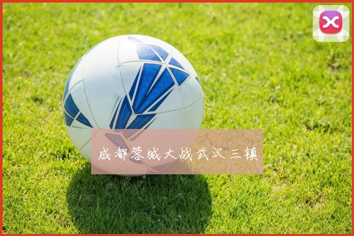 成都蓉城大战武汉三镇