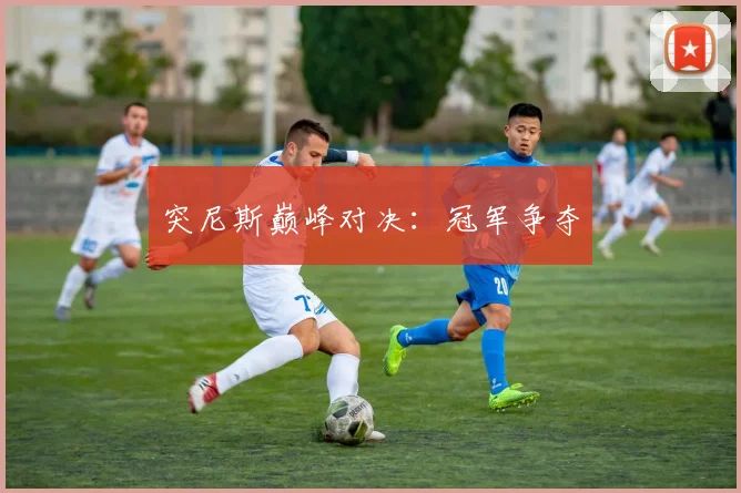 突尼斯巅峰对决：冠军争夺