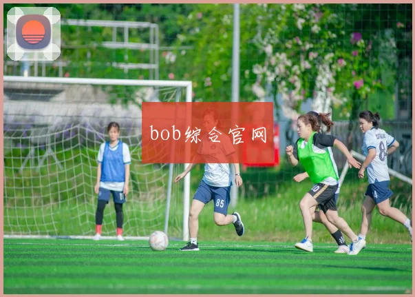 bob综合官网