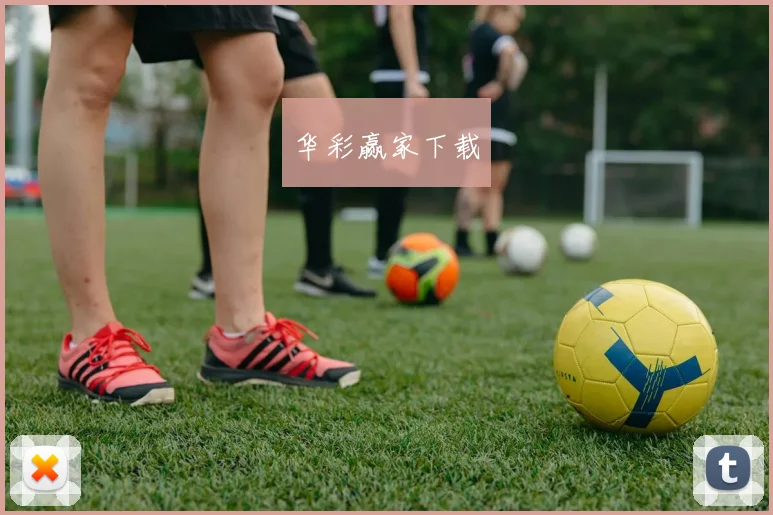 华彩赢家下载