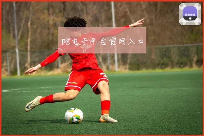 pg电子平台官网入口