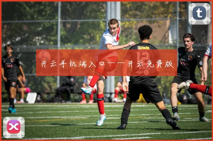 开云手机端入口——开云免费版