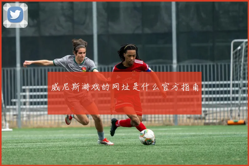 威尼斯游戏的网址是什么官方指南