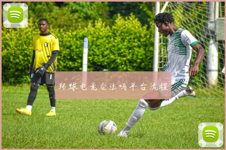 环球电竞合法吗平台流程