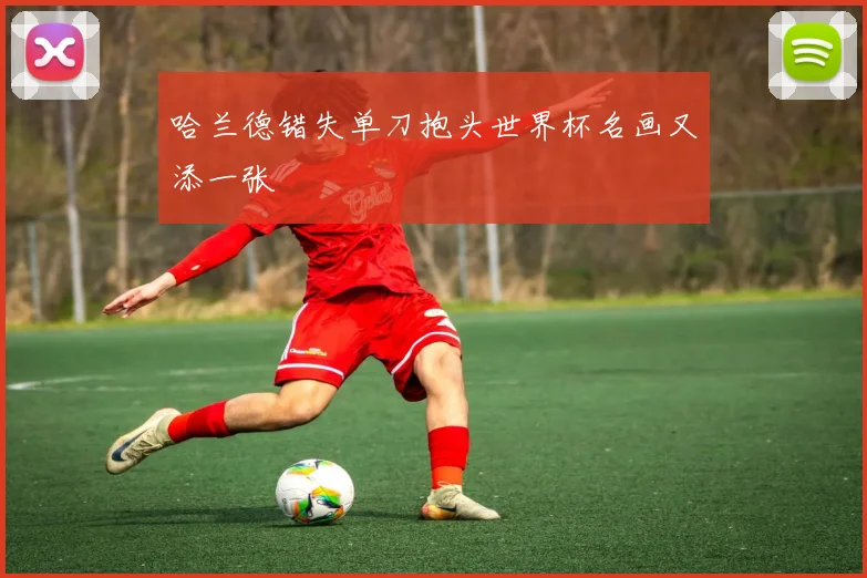 哈兰德错失单刀抱头世界杯名画又添一张