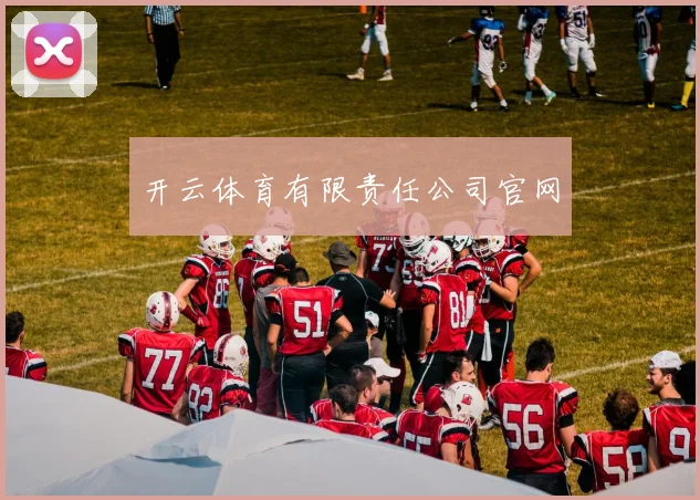 开云体育有限责任公司官网