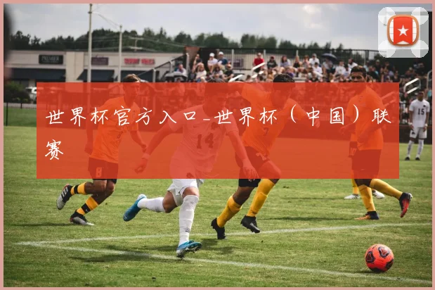 世界杯官方入口_世界杯（中国）联赛