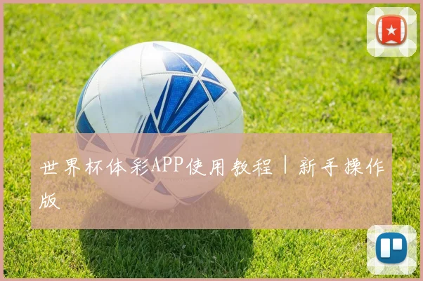 世界杯体彩APP使用教程｜新手操作版
