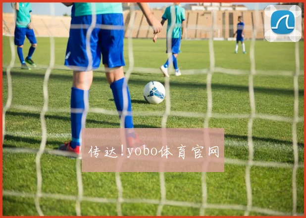传达!yobo体育官网
