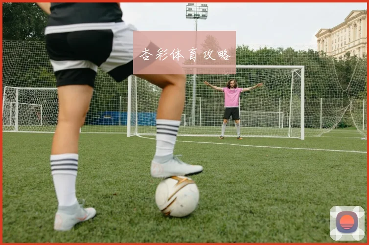 杏彩体育攻略