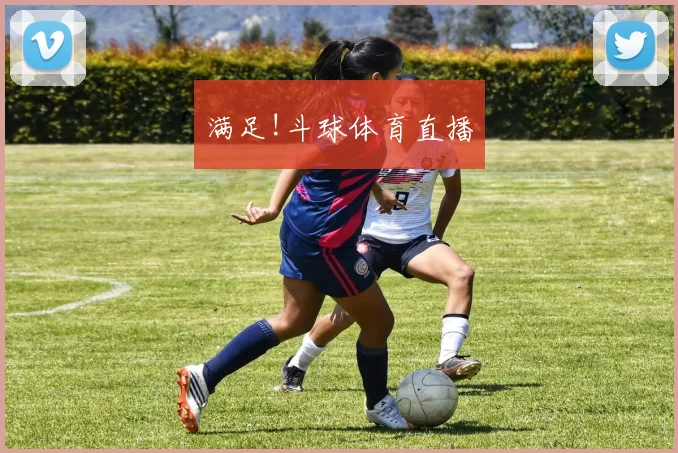满足!斗球体育直播