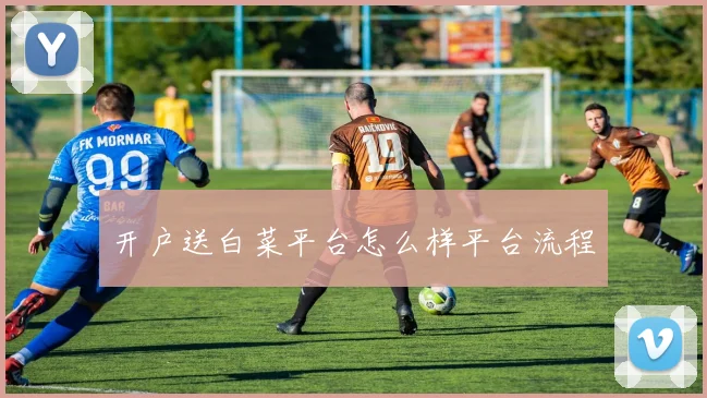 开户送白菜平台怎么样平台流程