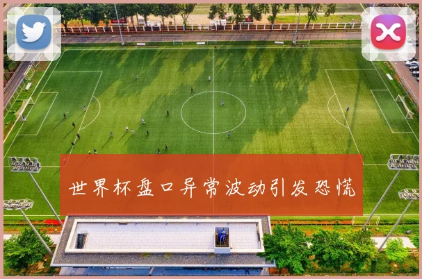 世界杯盘口异常波动引发恐慌