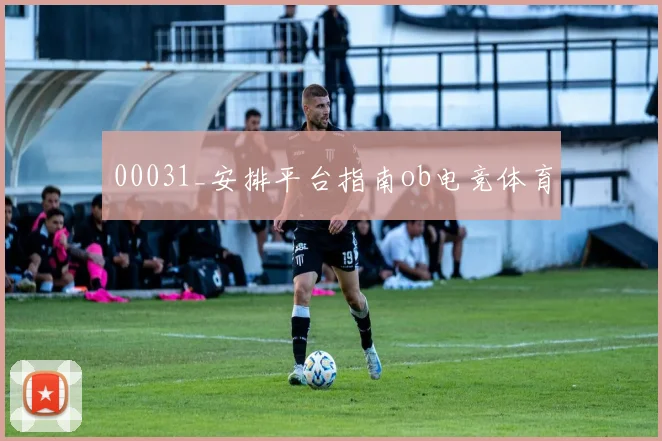 00031_安排平台指南ob电竞体育