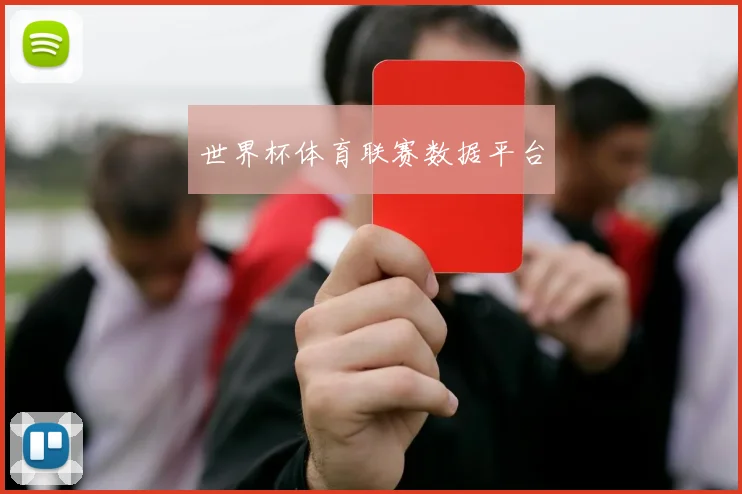 世界杯体育联赛数据平台