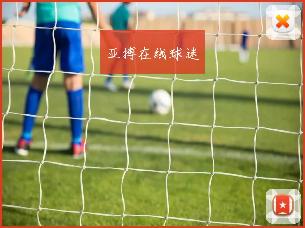 亚搏在线球迷