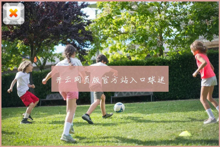 开云网页版官方站入口球迷