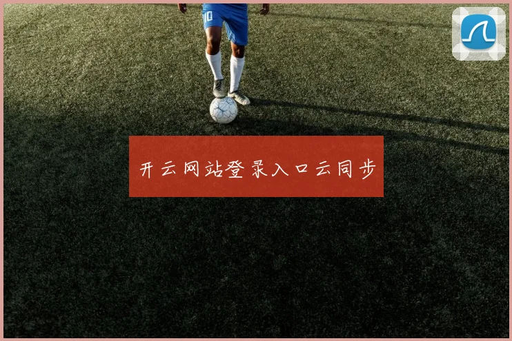 开云网站登录入口云同步
