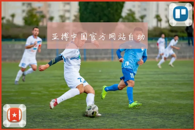 亚搏中国官方网站自动