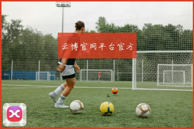 云博官网平台官方
