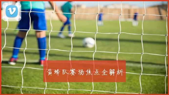 黄蜂队赛场焦点全解析