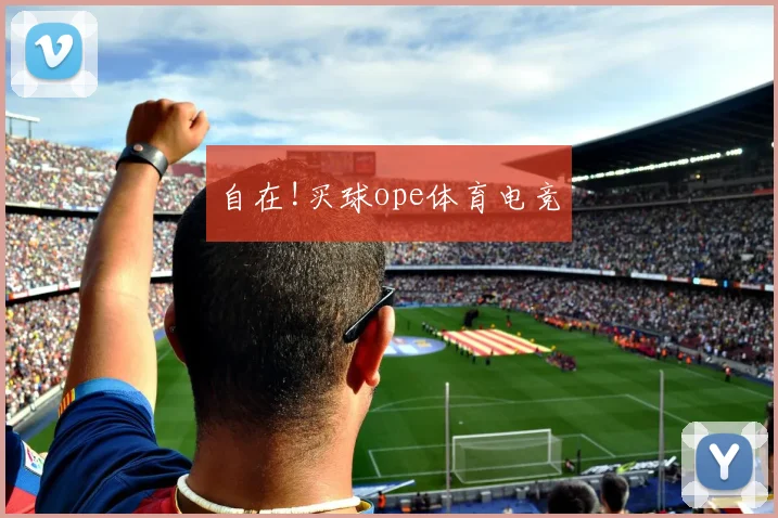 自在!买球ope体育电竞