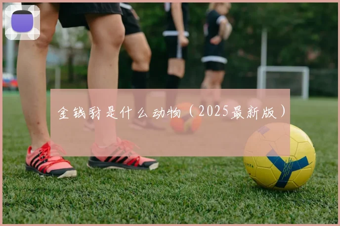 金钱豺是什么动物（2025最新版）