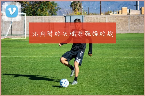 比利时对决瑞典强强对战