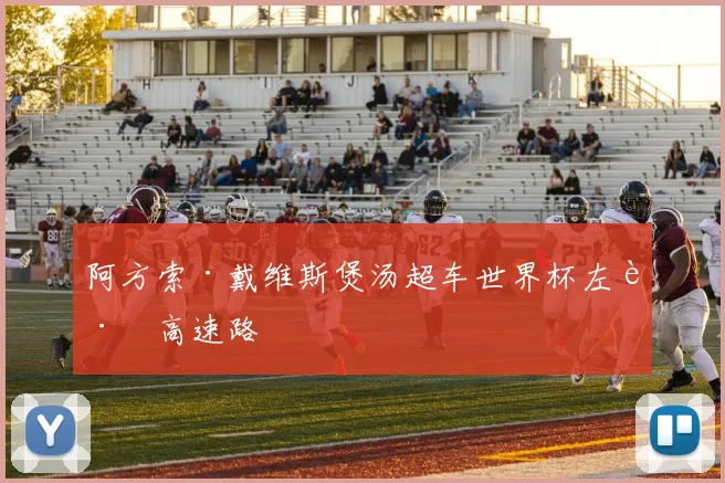 阿方索·戴维斯煲汤超车世界杯左路高速路