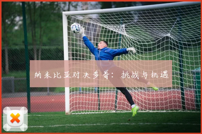 纳米比亚对决多哥：挑战与机遇