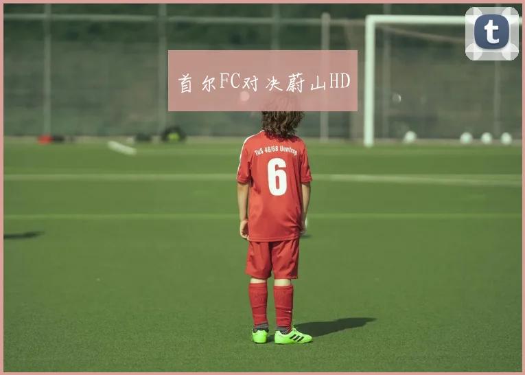 首尔FC对决蔚山HD