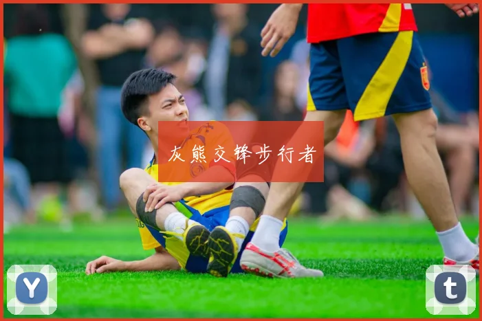灰熊交锋步行者