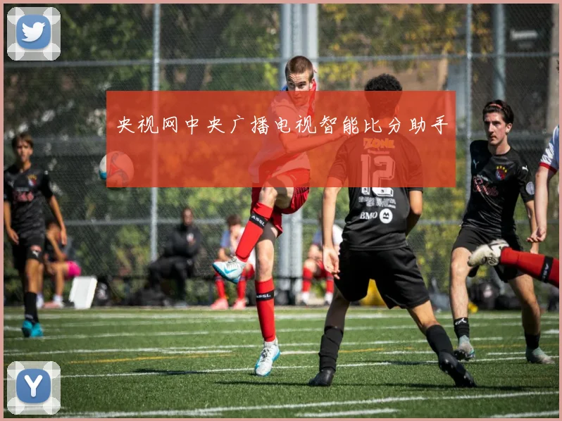 央视网中央广播电视智能比分助手
