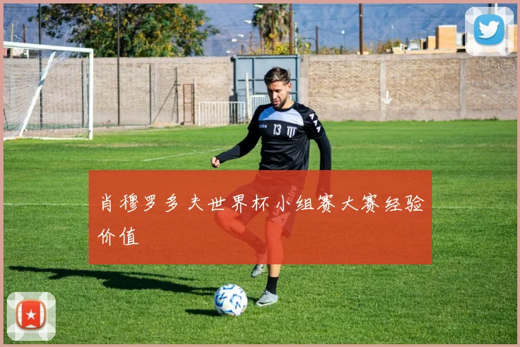 肖穆罗多夫世界杯小组赛大赛经验价值