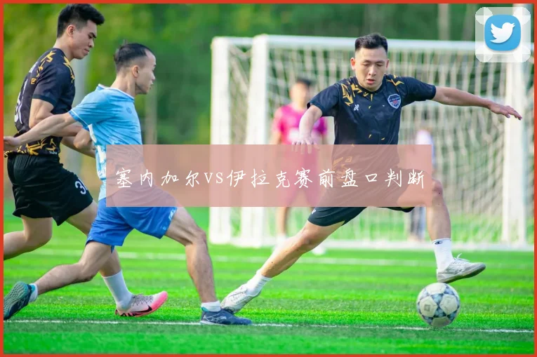 塞内加尔vs伊拉克赛前盘口判断