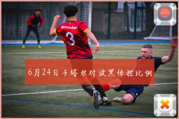 6月24日卡塔尔对波黑传控比例