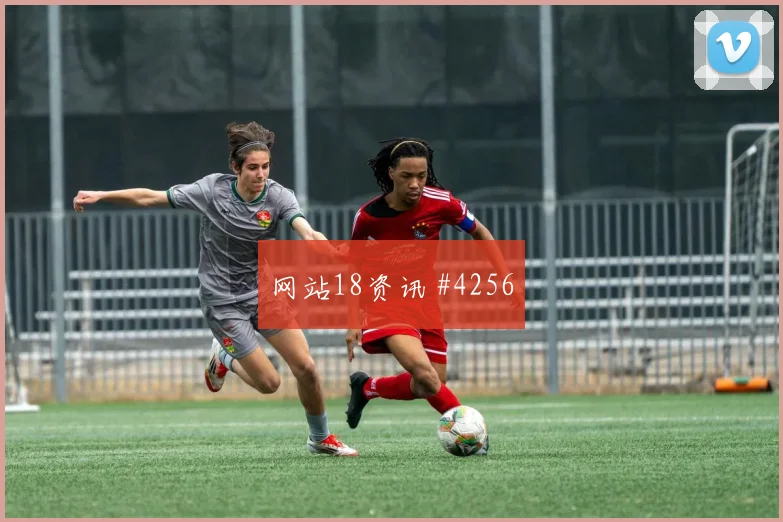维萨2026世界杯大赛经验价值