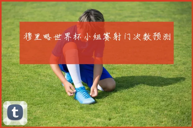 穆里略世界杯小组赛射门次数预测