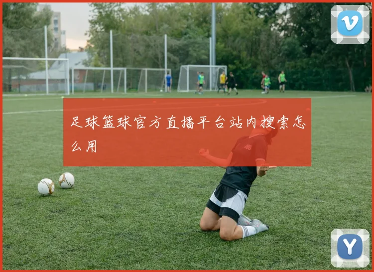 足球篮球官方直播平台站内搜索怎么用
