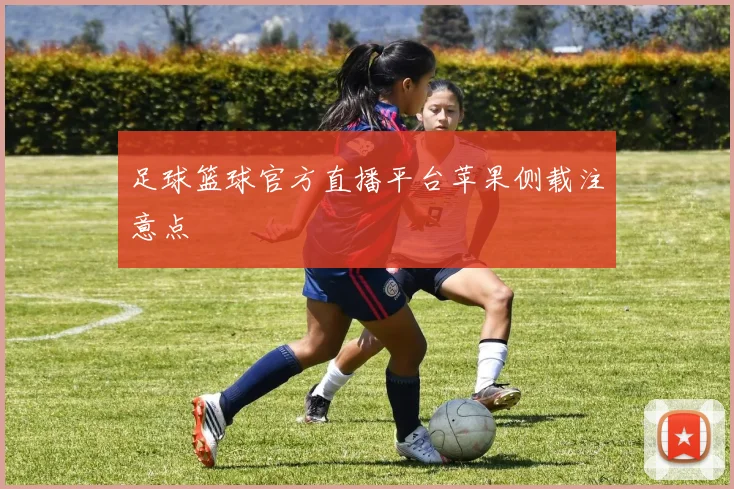 足球篮球官方直播平台苹果侧载注意点