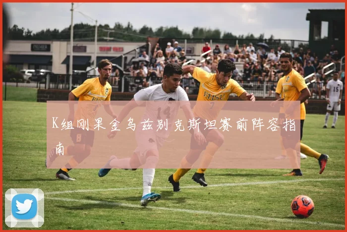 K组刚果金乌兹别克斯坦赛前阵容指南