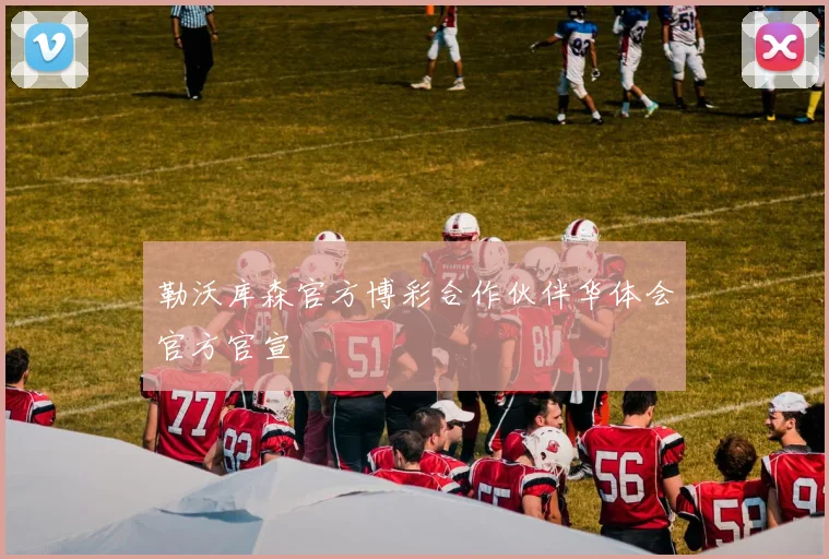 勒沃库森官方博彩合作伙伴华体会官方官宣
